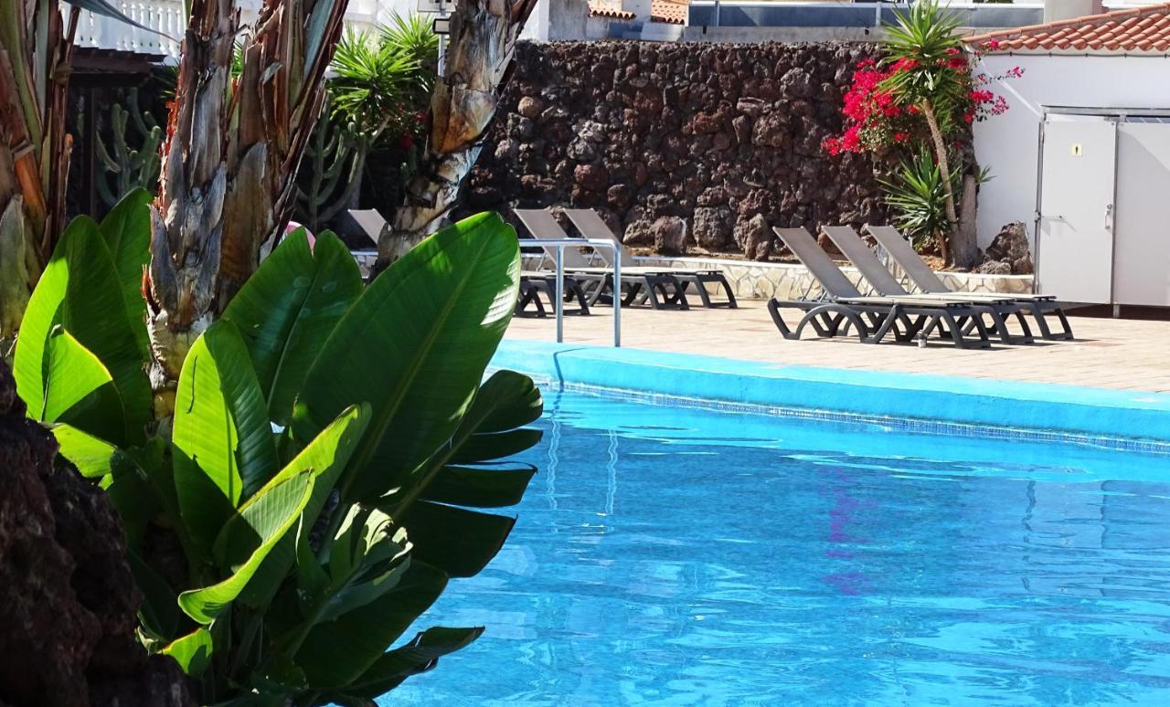 Las Americas Luxury Low-Cost Apartment With Terrace & Views 플라야데라스아메리카스 외부 사진